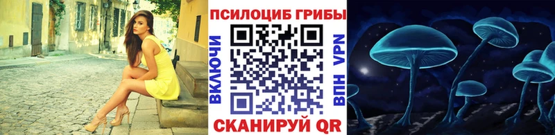где найти   Елец  Галлюциногенные грибы мицелий 